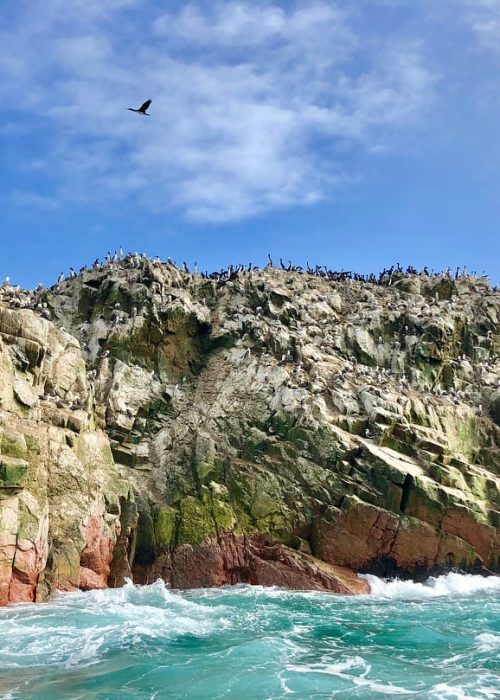 WhatsApp Image 2018-11-16 at 18.02.59