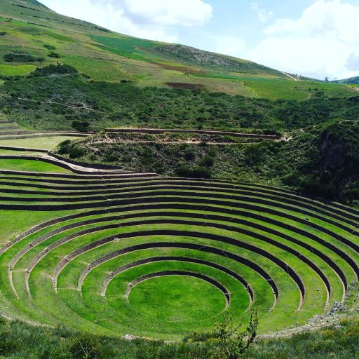 WhatsApp Image 2019-02-16 at 16.18.03