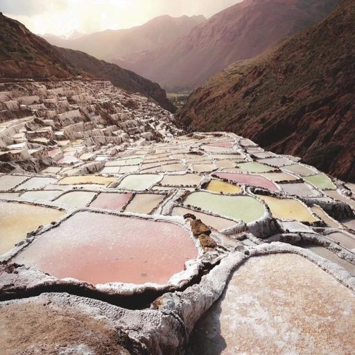 WhatsApp Image 2019-02-16 at 16.18.05 (1)