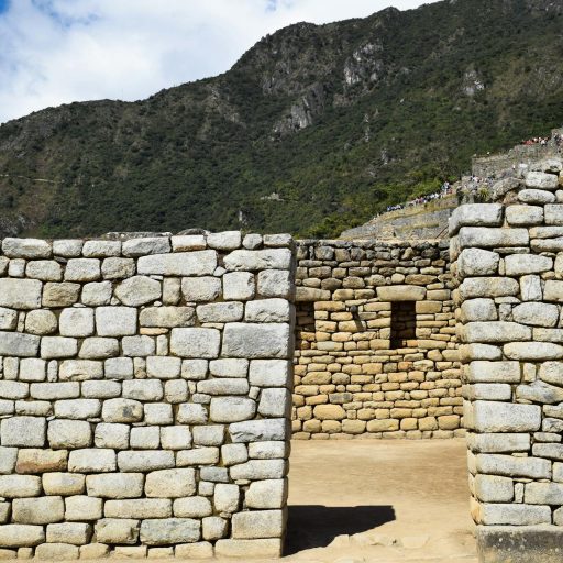 pexels-maria-pinto-89809010-14110118