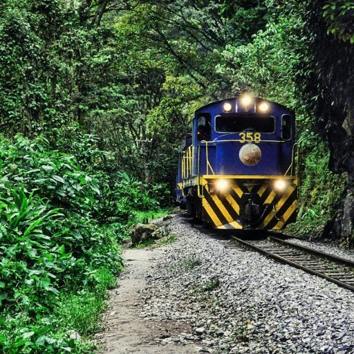 pexels-viajante-dibujero-2562840-4835354